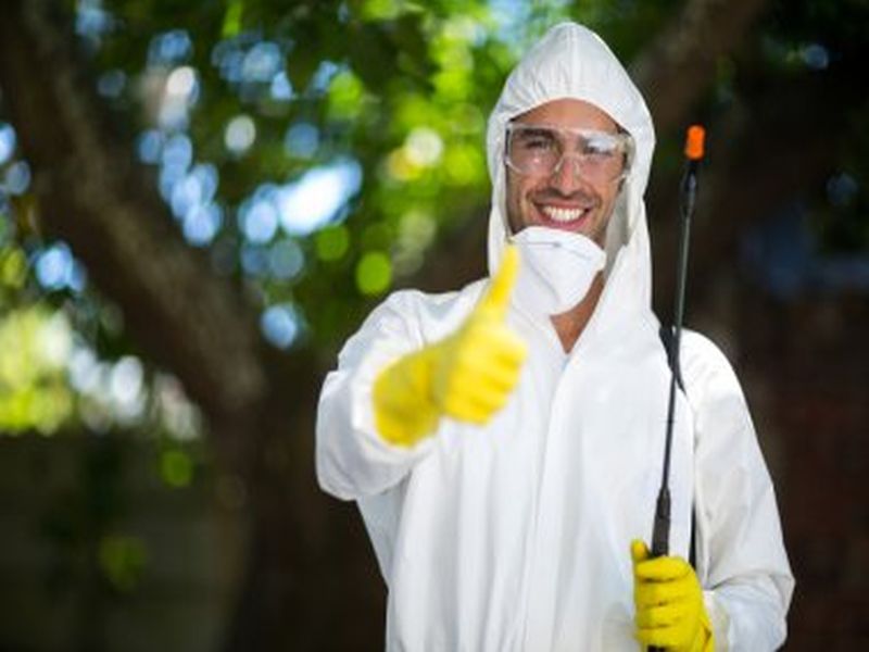 Protecting Your Property: Pest Control in Sydney